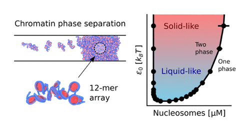 .//images/publications/Golembeski2024Molecular.png